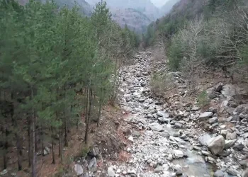 Küreklidere Orman Parkı, 2025 yılında hizmete açılacak
