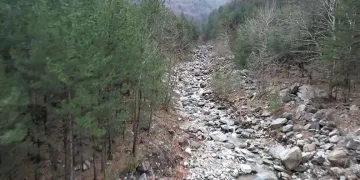 Küreklidere Orman Parkı, 2025 yılında hizmete açılacak