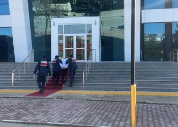 Eskişehir’de vurulan 12 yerinden yaralanan köpek hayvan severler tarafından tedavi ettirildi