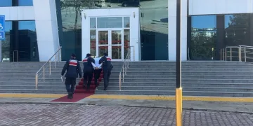 Eskişehir’de vurulan 12 yerinden yaralanan köpek hayvan severler tarafından tedavi ettirildi