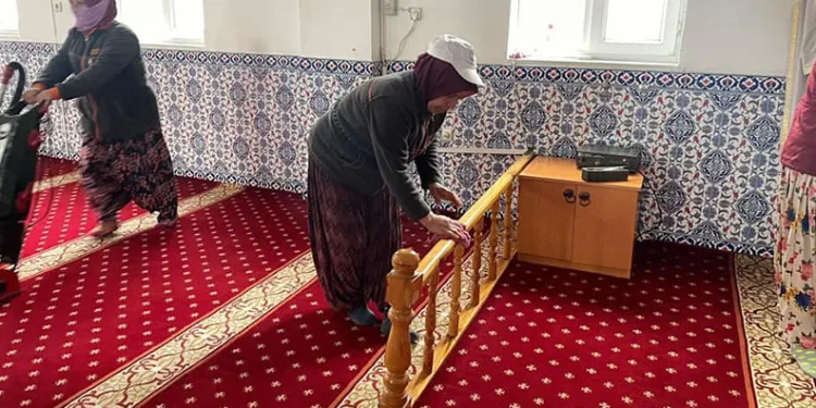 “AB’yi içine düştüğü çıkmazdan sadece Türkiye kurtarabilir”