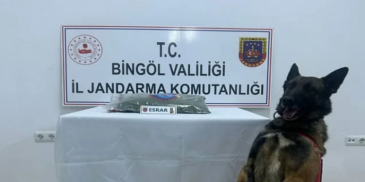 Depremzede ailenin yaşadığı konteyner yanarak kullanılmaz hale geldi