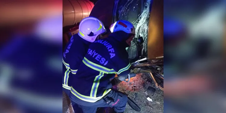 Maraş otunu çiğneyen çocuk hastanelik oldu
