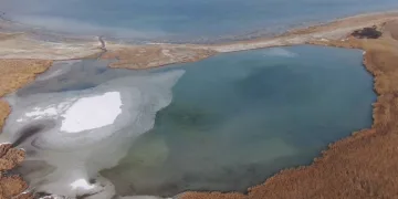 Serbest piyasada döviz fiyatları