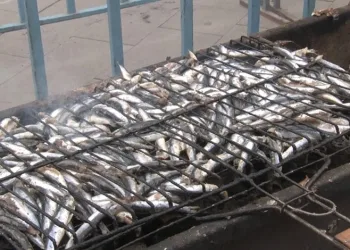 Bursa’da ücretsiz balık ekmek izdihamı