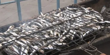 Bursa’da ücretsiz balık ekmek izdihamı
