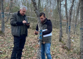 Bursa Ormanlarındaki ağaçlar tek tek kontrol edildi