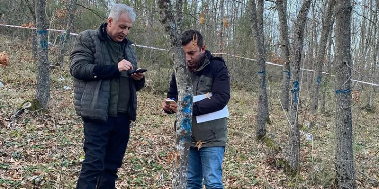 Bursa Ormanlarındaki ağaçlar tek tek kontrol edildi