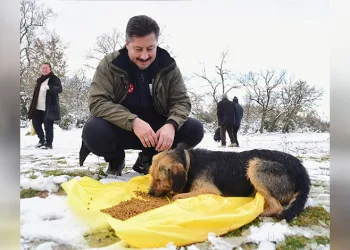 Yenişehir Belediyesi yaban hayvanlar ve kuşlar için beslenme noktaları oluşturdu