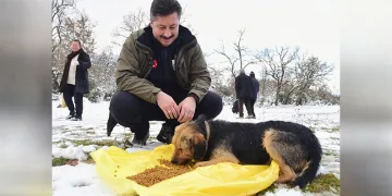 Yenişehir Belediyesi yaban hayvanlar ve kuşlar için beslenme noktaları oluşturdu