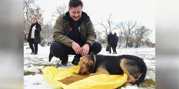 Yenişehir Belediyesi yaban hayvanlar ve kuşlar için beslenme noktaları oluşturdu