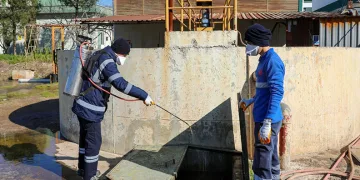 Ramazan ayında sofraların vazgeçilmezi hurmanın fiyatı: 60-350 TL arasında