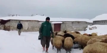 “AB’yi içine düştüğü çıkmazdan sadece Türkiye kurtarabilir”
