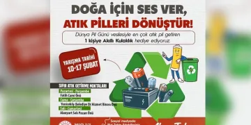 Mudanya Belediyesi’nden sahipsiz hayvanlara şefkat eli