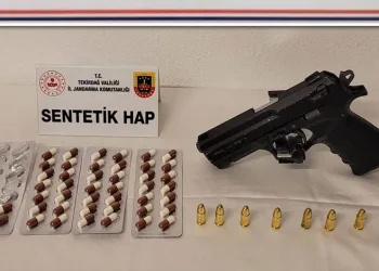 Eskişehir’de vurulan 12 yerinden yaralanan köpek hayvan severler tarafından tedavi ettirildi