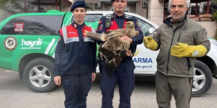 Şarampole uçan otomobil sürücüsü yaralandı