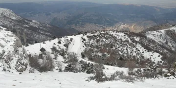 Serbest piyasada döviz fiyatları