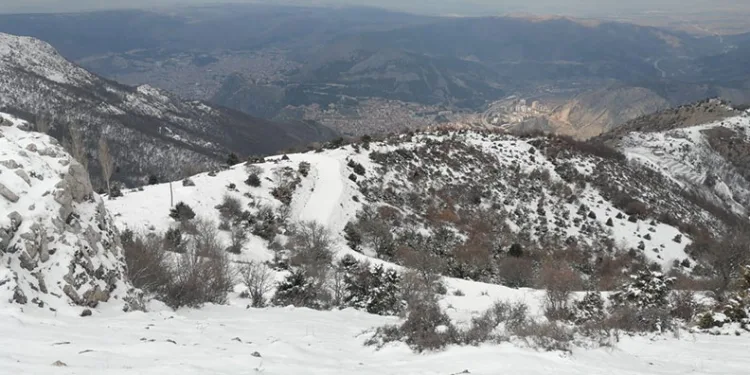 Serbest piyasada döviz fiyatları