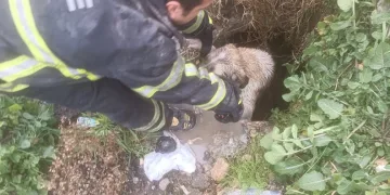 Jandarmadan köy okuluna ziyaret