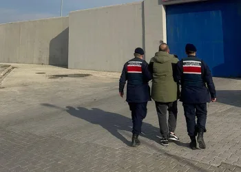 Eskişehir’de vurulan 12 yerinden yaralanan köpek hayvan severler tarafından tedavi ettirildi