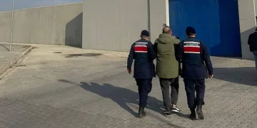 Eskişehir’de vurulan 12 yerinden yaralanan köpek hayvan severler tarafından tedavi ettirildi