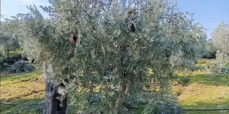 Emine Erdoğan’dan Malezya ziyaretine ilişkin paylaşım: