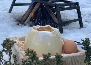 Ağrı Dağı’ndan geldi, Uludağ’da pişti