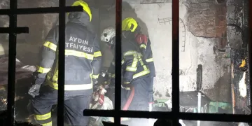 Eskişehir’de vurulan 12 yerinden yaralanan köpek hayvan severler tarafından tedavi ettirildi