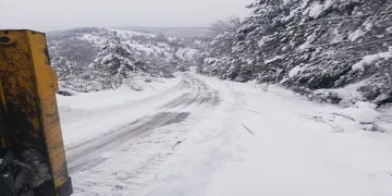 Serbest piyasada döviz fiyatları