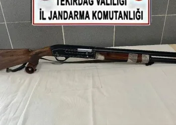 Eskişehir’de vurulan 12 yerinden yaralanan köpek hayvan severler tarafından tedavi ettirildi