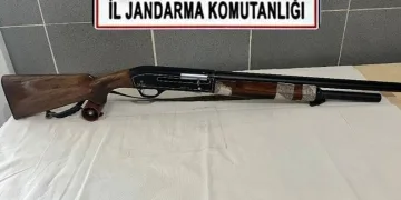 Eskişehir’de vurulan 12 yerinden yaralanan köpek hayvan severler tarafından tedavi ettirildi