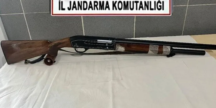 Eskişehir’de vurulan 12 yerinden yaralanan köpek hayvan severler tarafından tedavi ettirildi