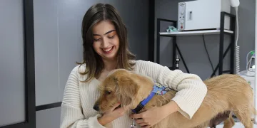 Eskişehir’de vurulan 12 yerinden yaralanan köpek hayvan severler tarafından tedavi ettirildi