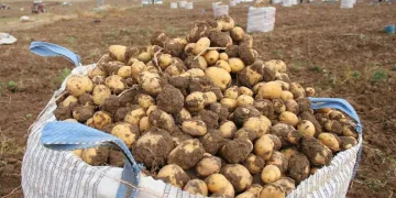 Bursa’da toplu taşımaya zam