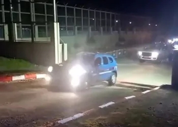 Jandarmadan uyuşturucu operasyonu: 5 gözaltı
