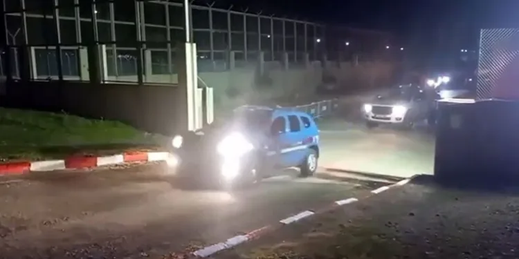 Jandarmadan uyuşturucu operasyonu: 5 gözaltı