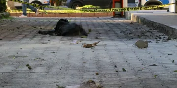 Ardahan’da yangın riskine karşı denetimler sıkılaştırıldı