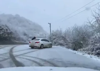 Kaçak kazı yapan 10 şüpheli jandarmaya takıldı