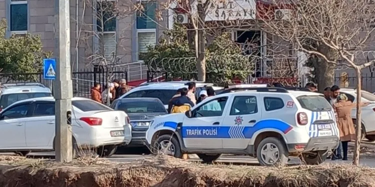 Kaçak kazı yapan 10 şüpheli jandarmaya takıldı