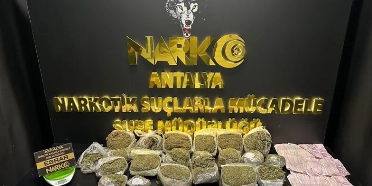 Kaçak kazı yapan 10 şüpheli jandarmaya takıldı