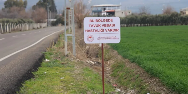 SOLOTÜRK Erzincan’da gösteri yapacak