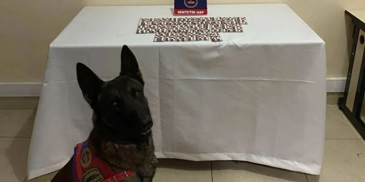 İYİ Parti eski ilçe başkanına silahlı saldırı sanıklarına toplam 97 yıl hapis verildi