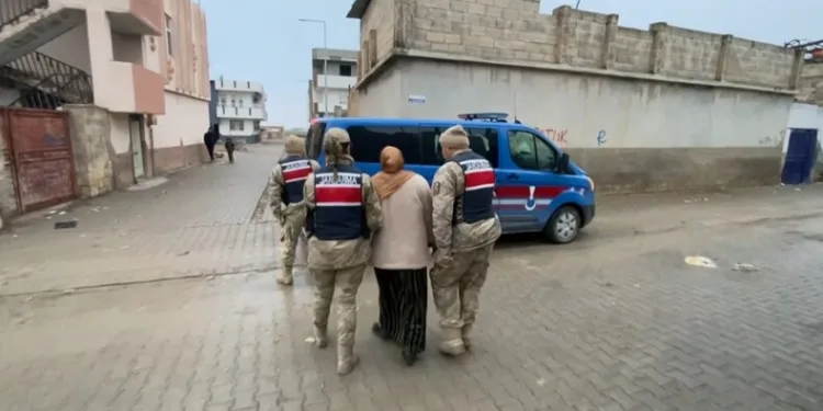 Mardin’de kamyon ile kamyonet çarpıştı: 1 ölü