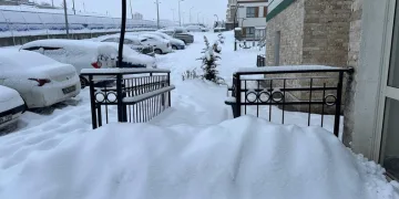 Eski menajerinden İbrahim Tatlıses’e suç duyurusu