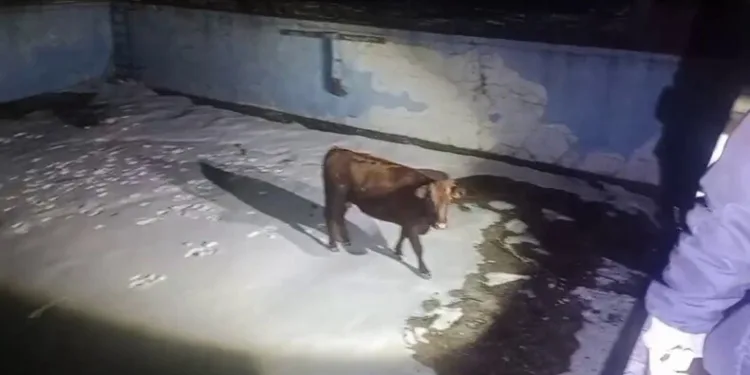 Kırklareli’nde otluk alanda yangın: 200 dekar alan zarar gördü