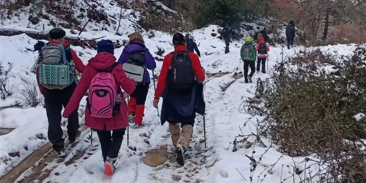 Ümraniye’de park yeri kavgası: 3 kişi sürücüye saldırdı