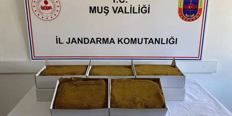 Muş’ta aranan 199 şahıs yakalandı