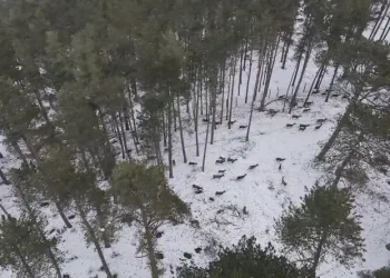 ‘Göremezsin’ denilen Libyalı Kadın Türkiye’de aydınlığa kavuştu