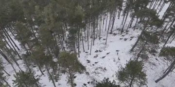 ‘Göremezsin’ denilen Libyalı Kadın Türkiye’de aydınlığa kavuştu