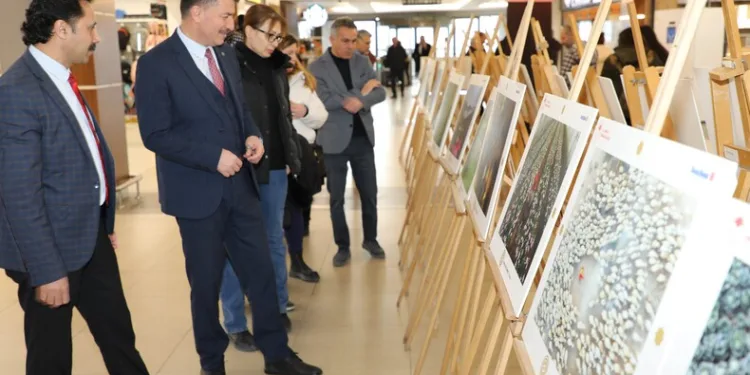‘Göremezsin’ denilen Libyalı Kadın Türkiye’de aydınlığa kavuştu